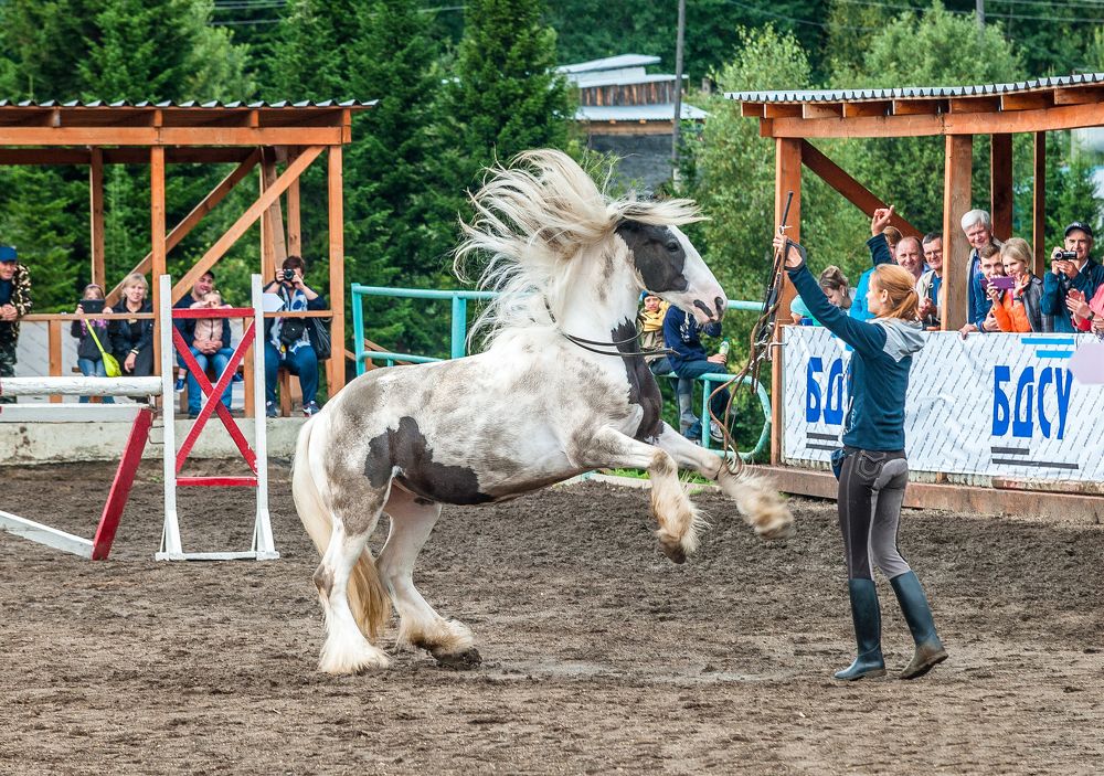 Photograph by Виктор Садырин