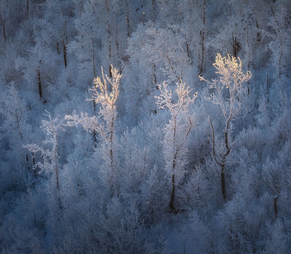 Фотография автора Игорь Филимонов