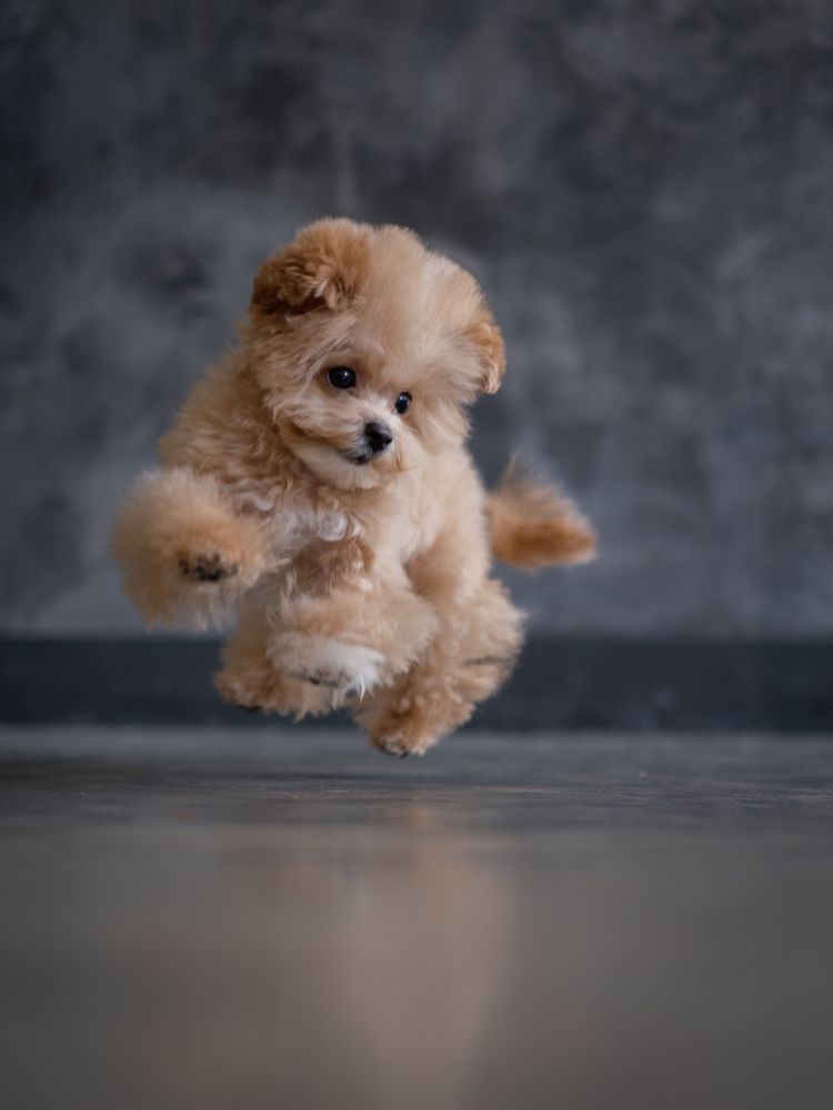 Photograph by Dina Damotseva