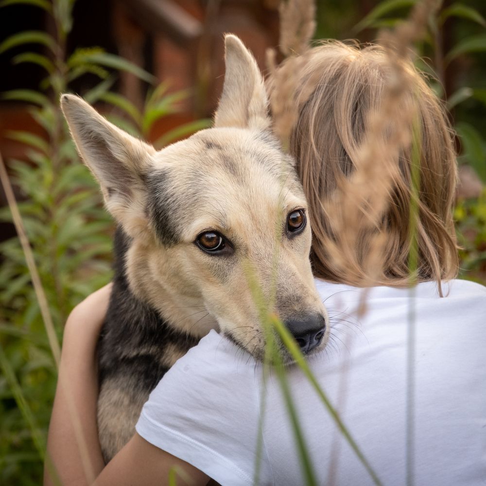 Photograph by Dina Damotseva