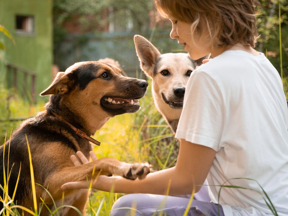 Photograph by Dina Damotseva