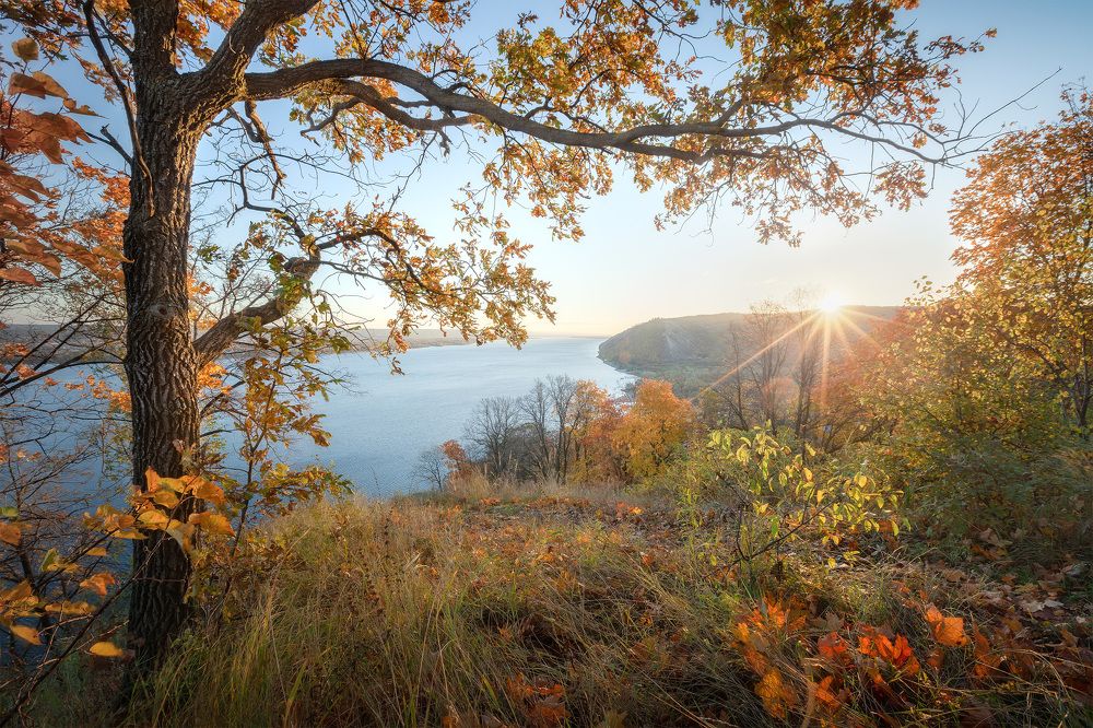 Фотография автора Игорь Филимонов