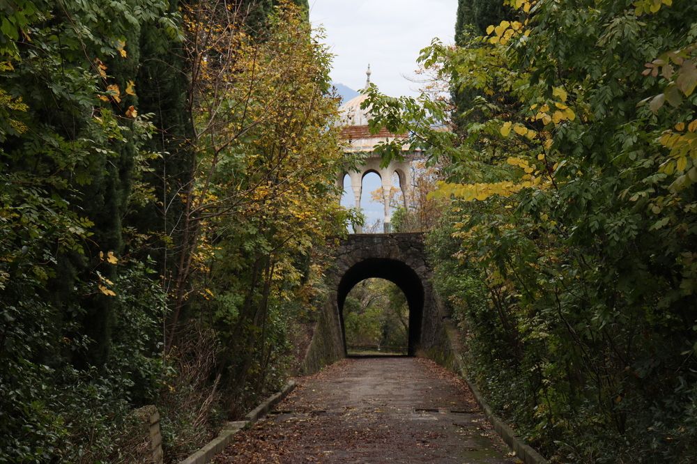 Photograph by Альфия Хабирова