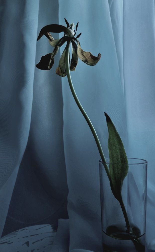 Photograph by Ирина Герлин