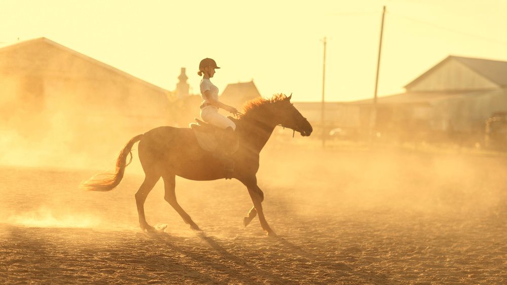 Photograph by Наталья Петренко