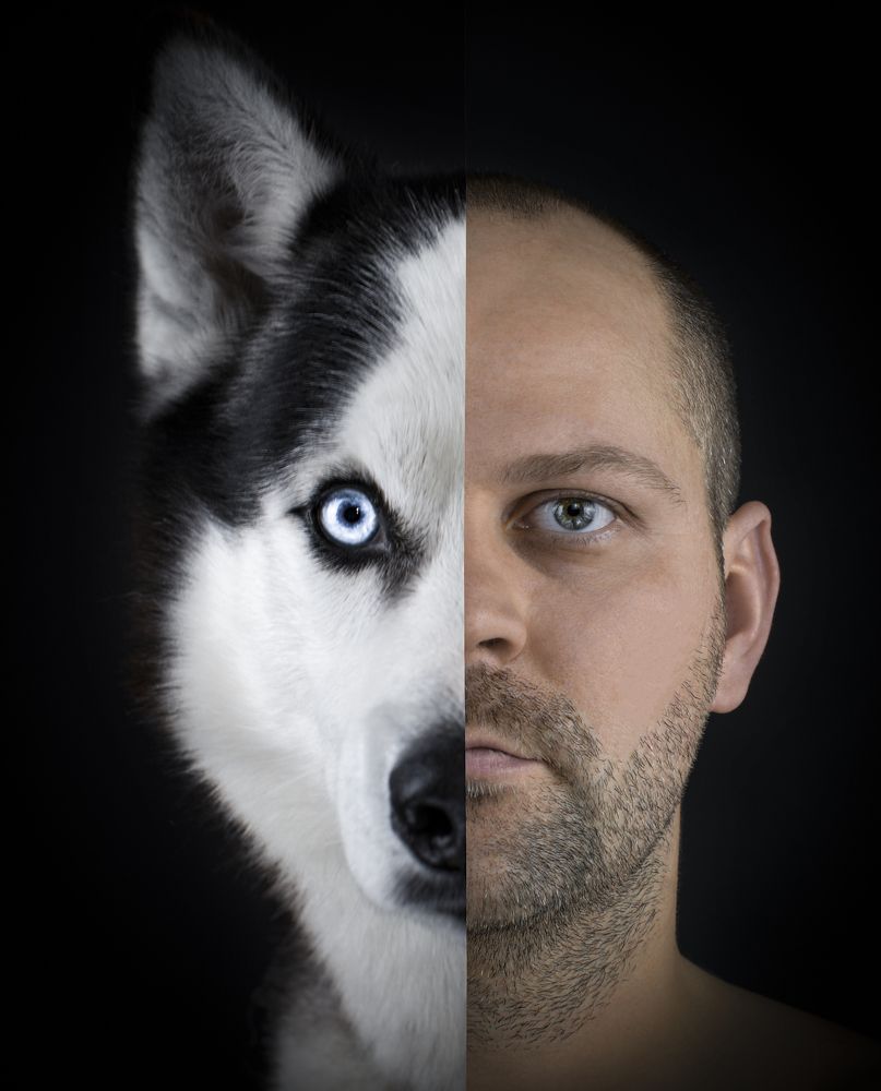 Photograph by Михаил Четвертков