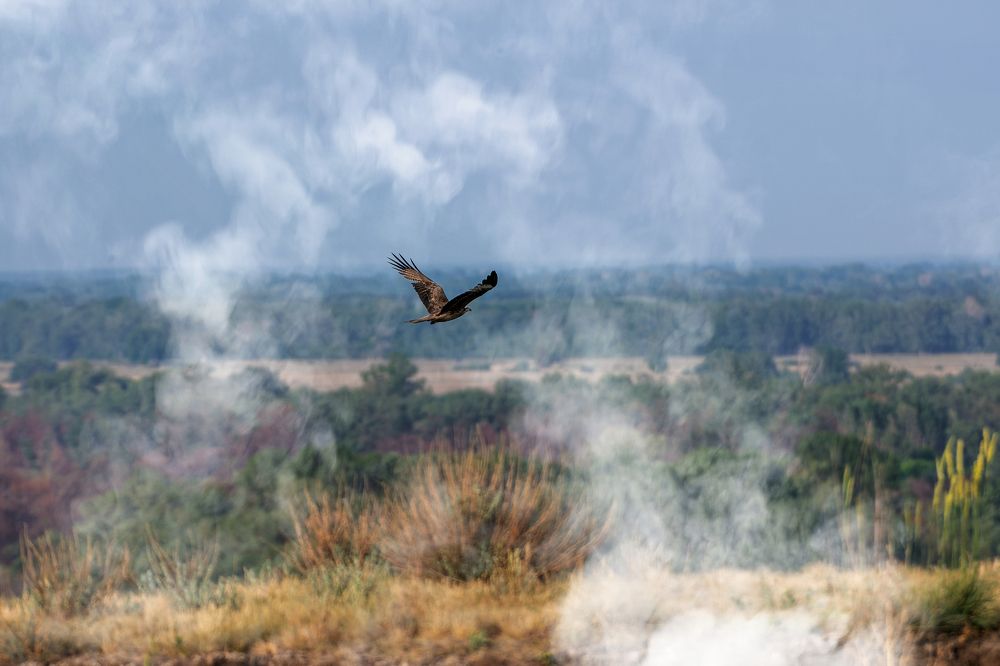 Photograph by Александр Перегудов