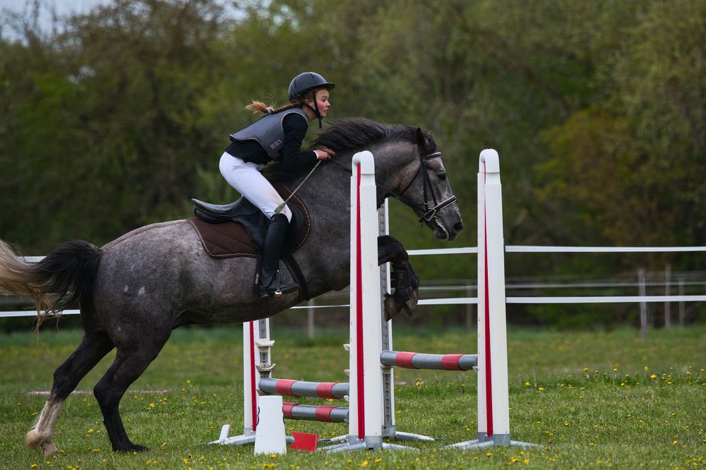 Photograph by Janis Serdienis