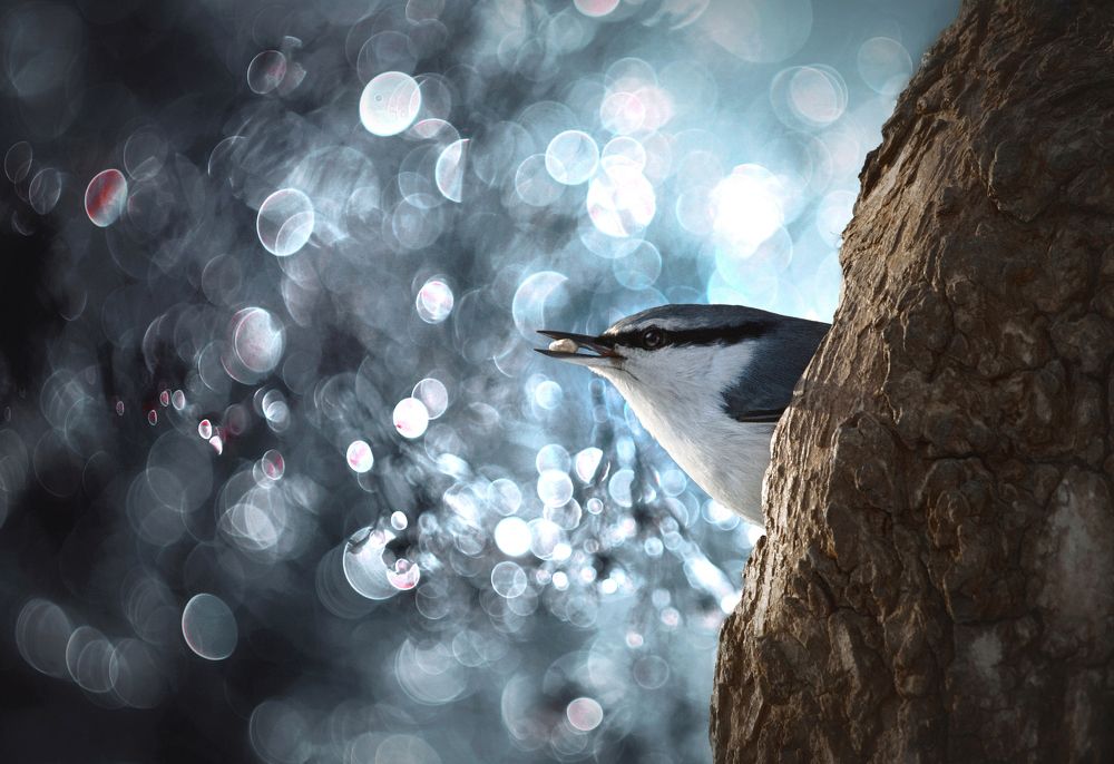 Photograph by Александр Перегудов