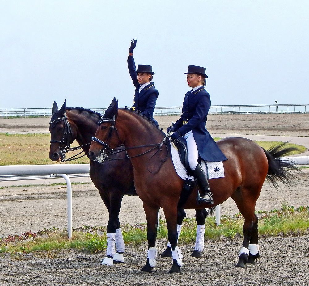 Фотография автора Игорь Винокуров