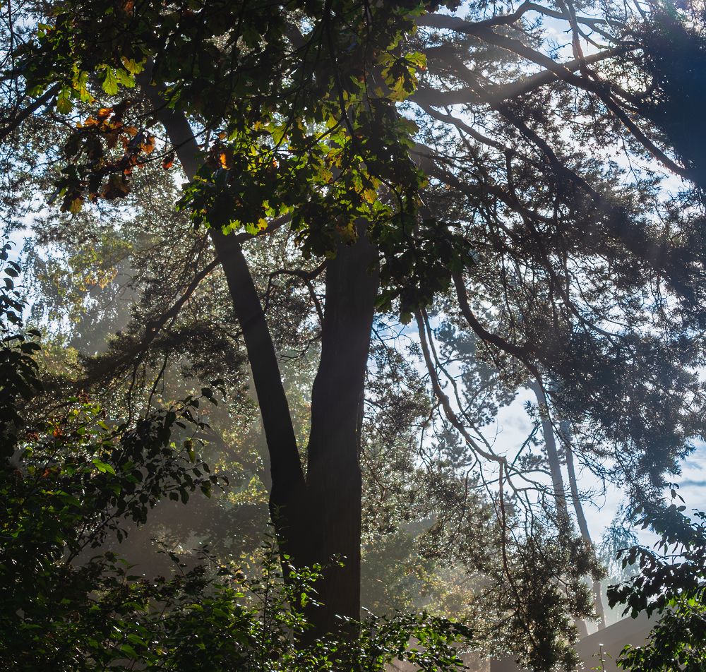 Photograph by Natalia Artamonova