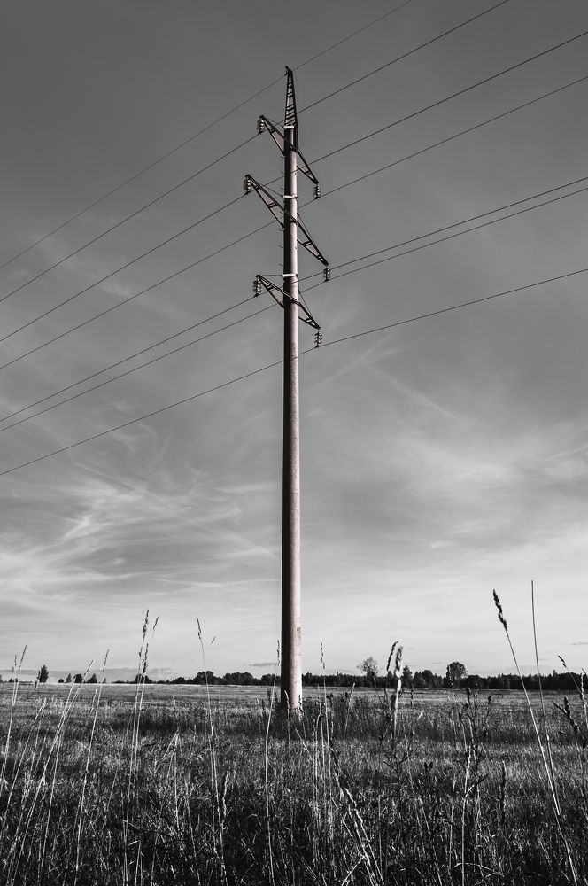 Photograph by Natalia Artamonova