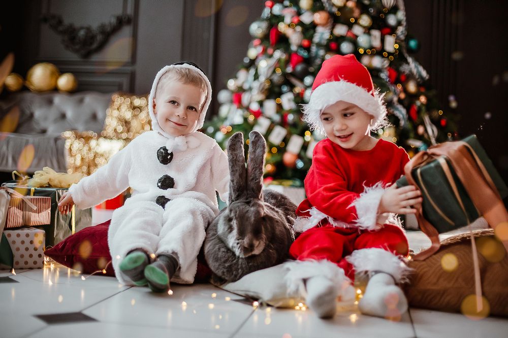 Photograph by Елена Тульчинская