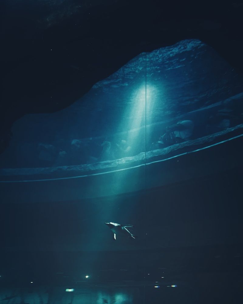 Photograph by Kedar Diwakar Mandakhalikar