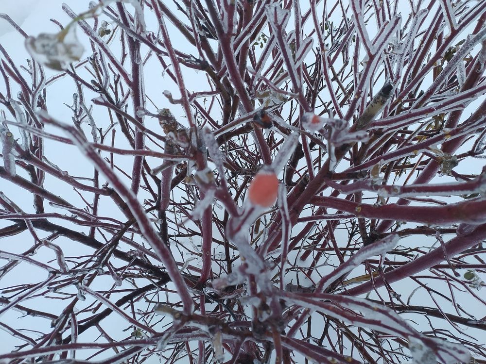 Фотография автора Иван