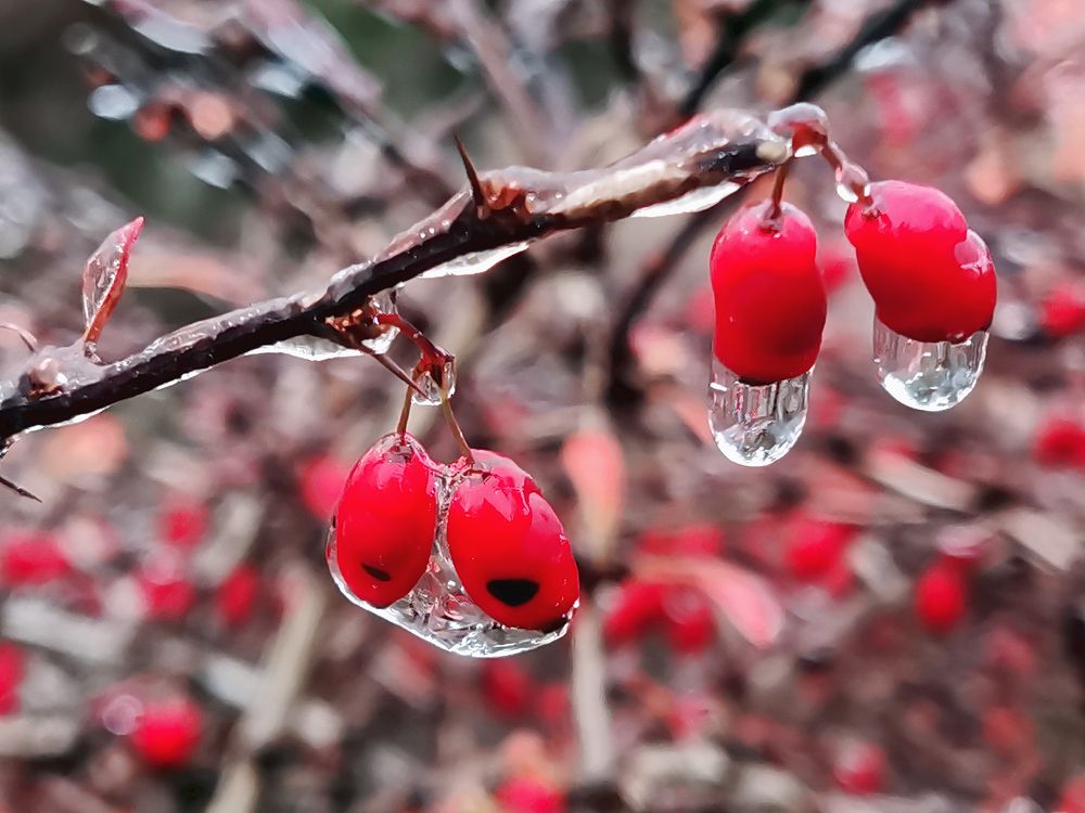 Photograph by Владимир Каюков