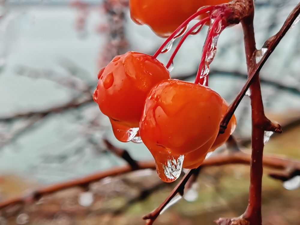 Photograph by Владимир Каюков