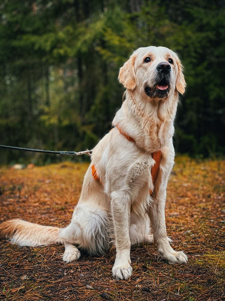 Photograph by Анжелика Александрова