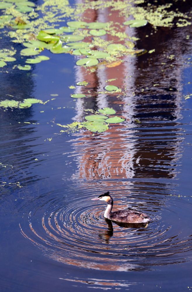 Photograph by Бибичков Михаил