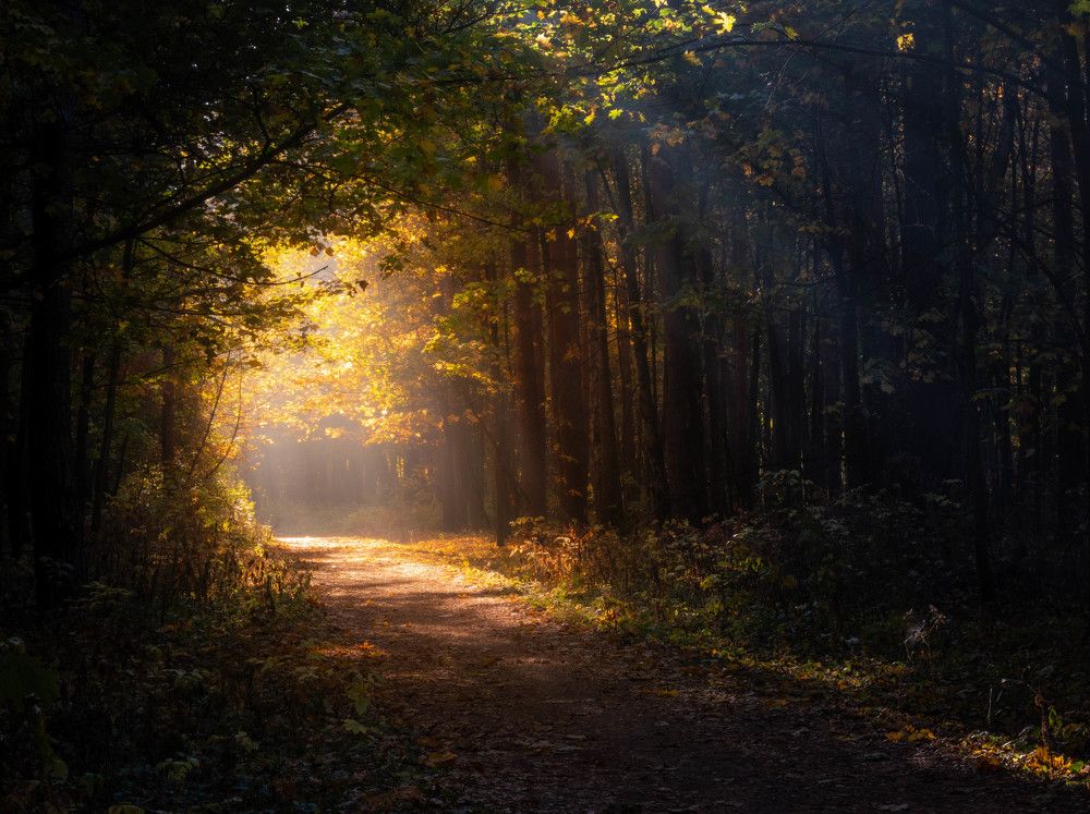 Photograph by Игорь Криулин