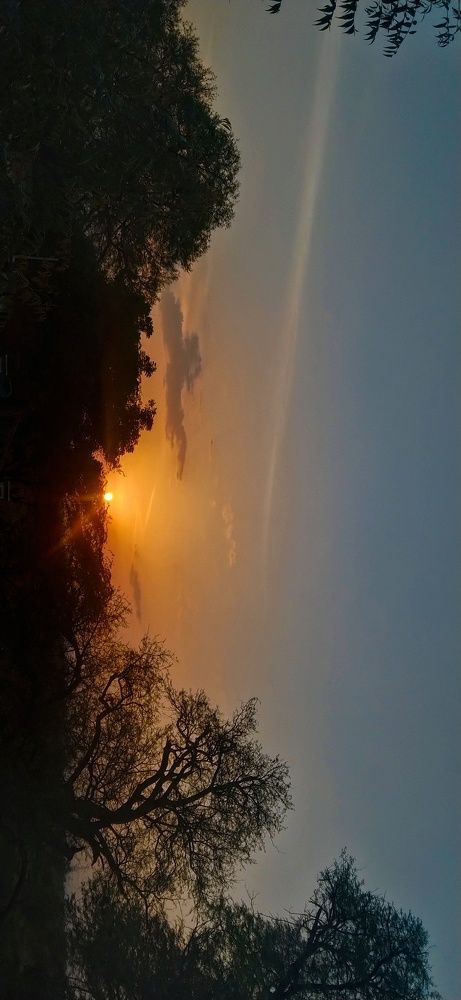 Photo #9983539