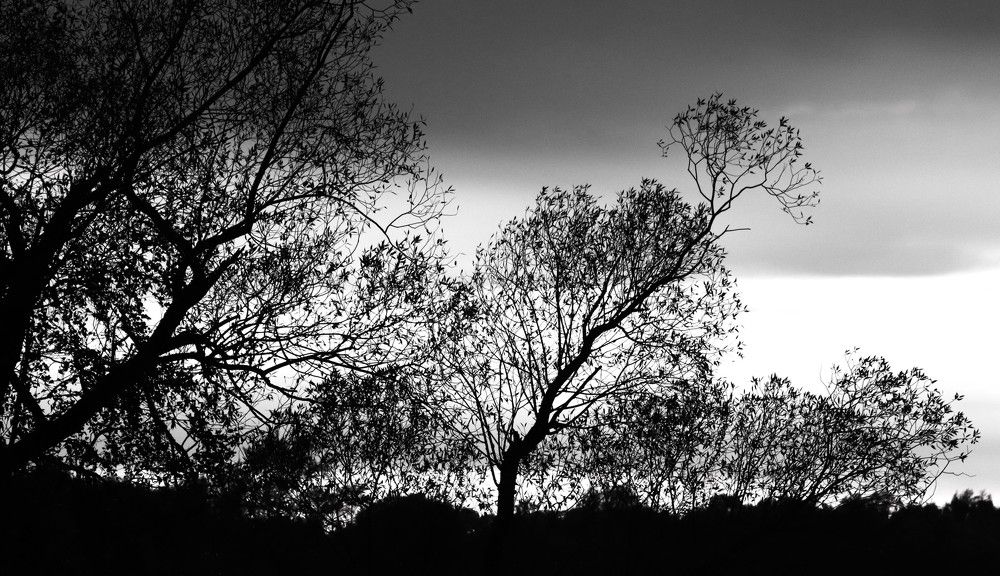 Photograph by ОЛЬГА ДЕРБЕНЕВА