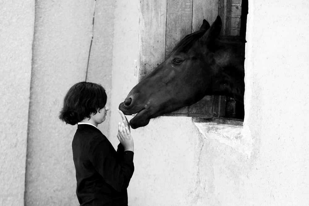 Photograph by mehdi karimi souderjani