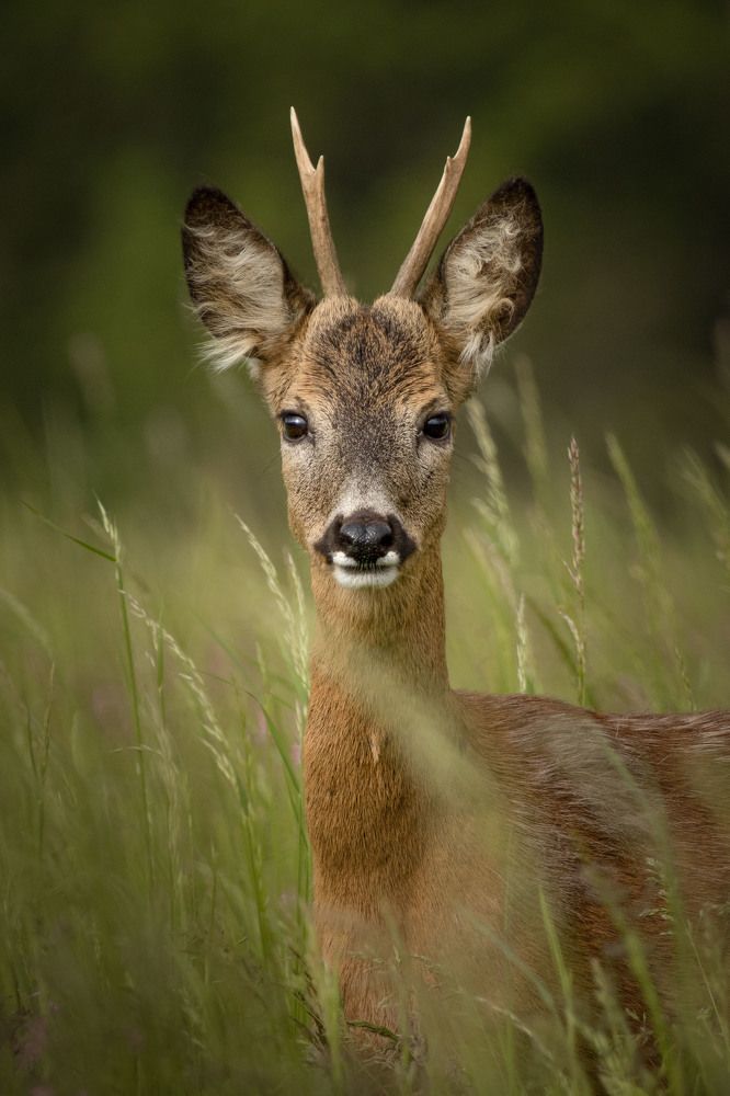 Photograph by Markéta Mastešová