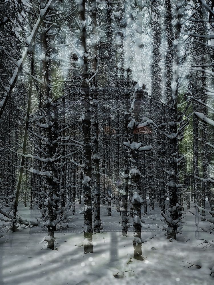 Photograph by Ольга Мартьянова