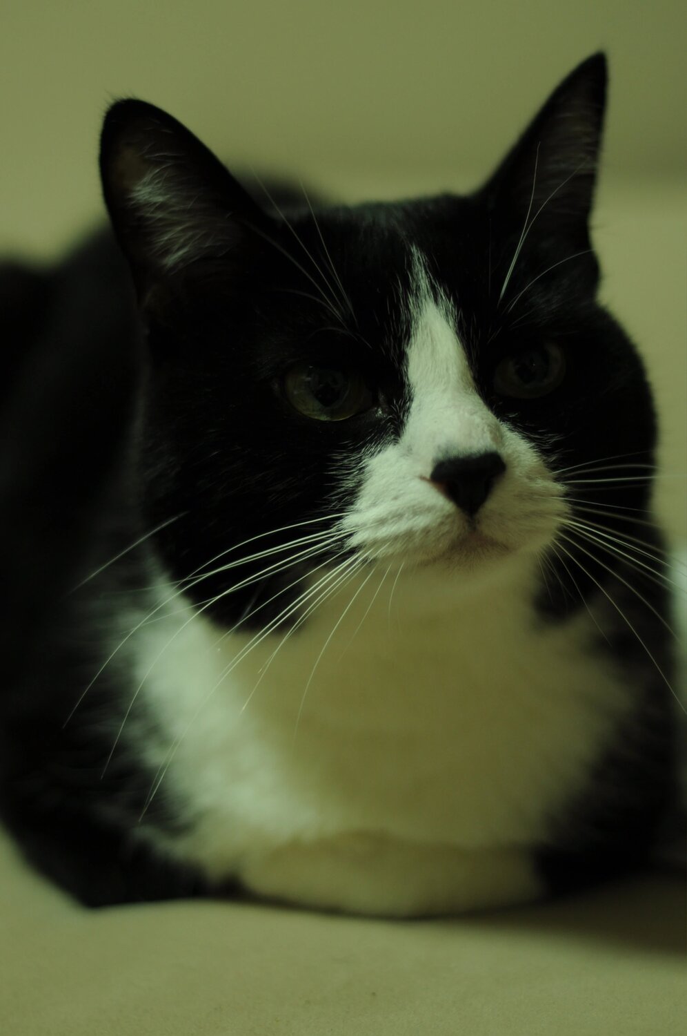 Photo #9983956