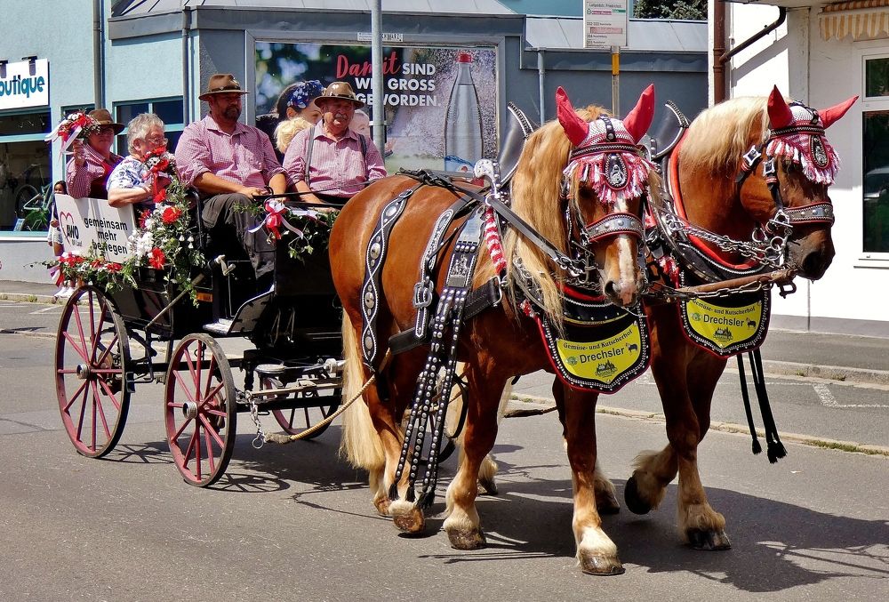 Photograph by backareva irina