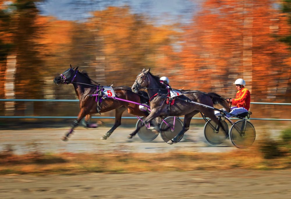 Photograph by Наталья Новикова