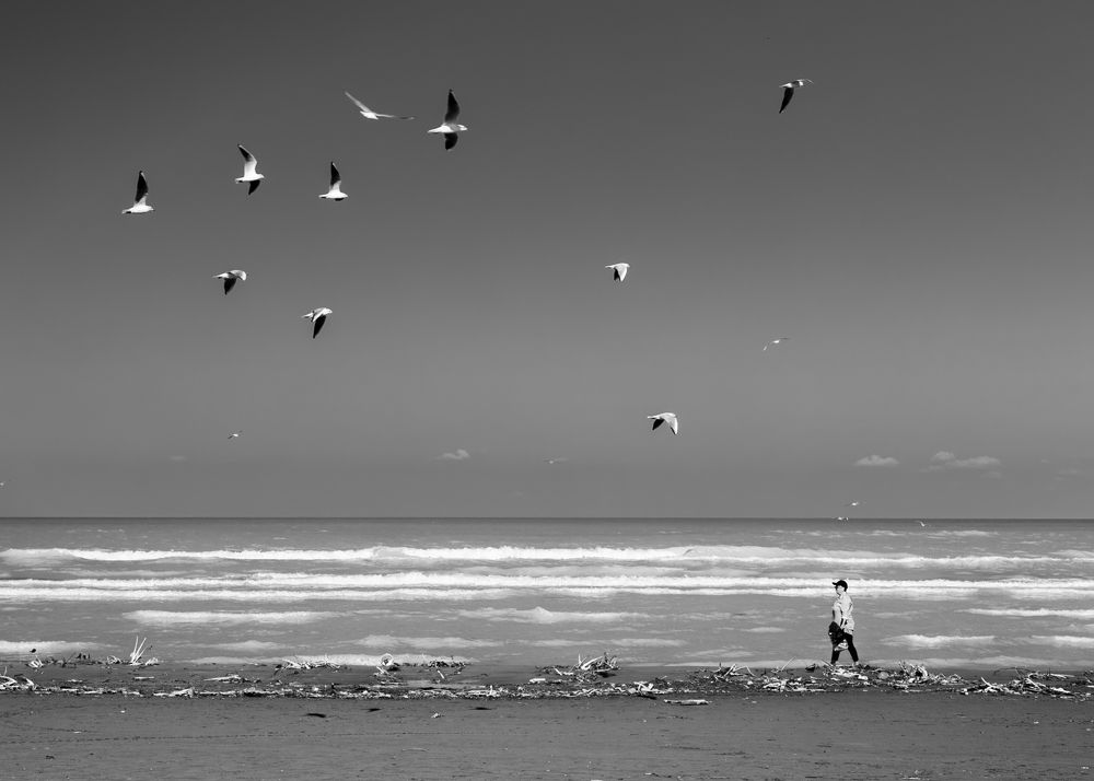 Photograph by seyed mostafa yousefi