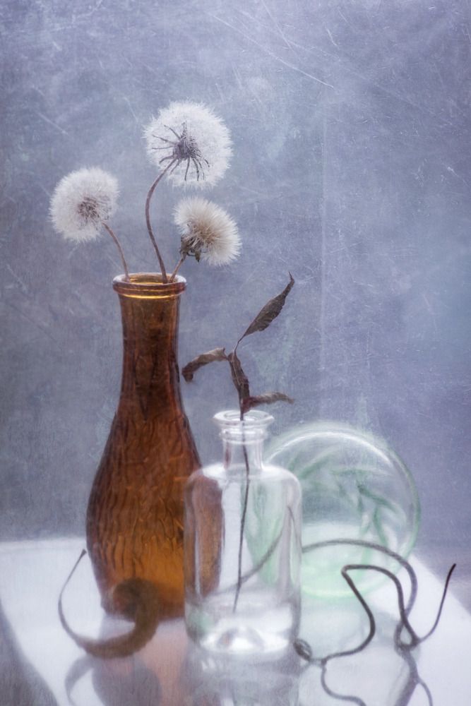 Photograph by Анна Иванова