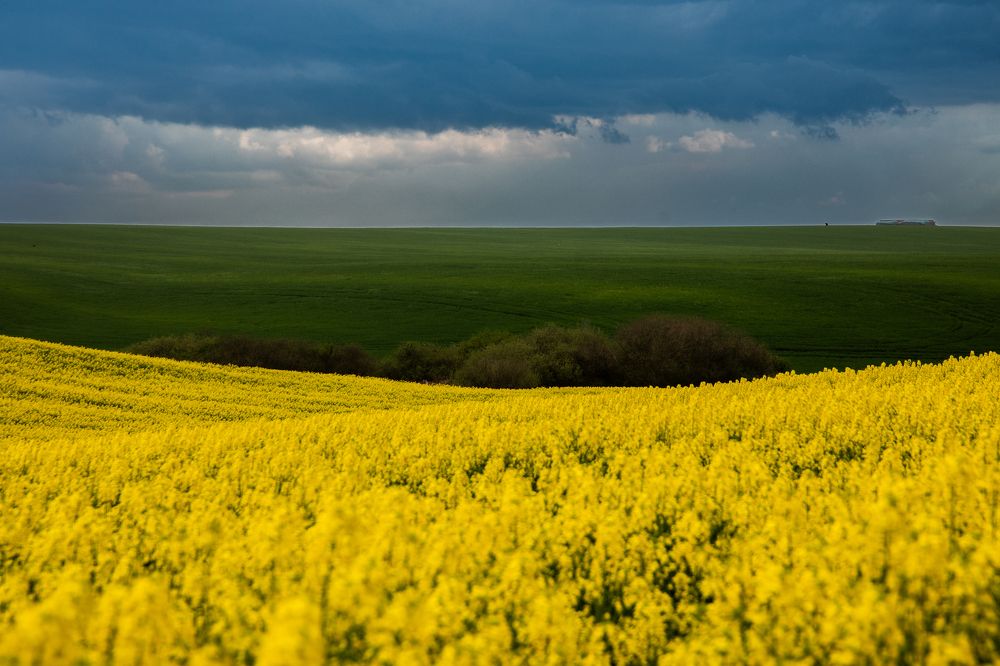 Фотография автора Jarco Vesici