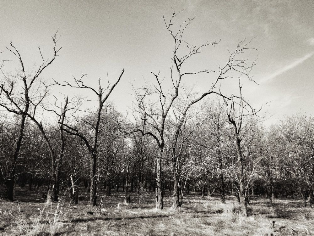 Photograph by Анна Матецкая