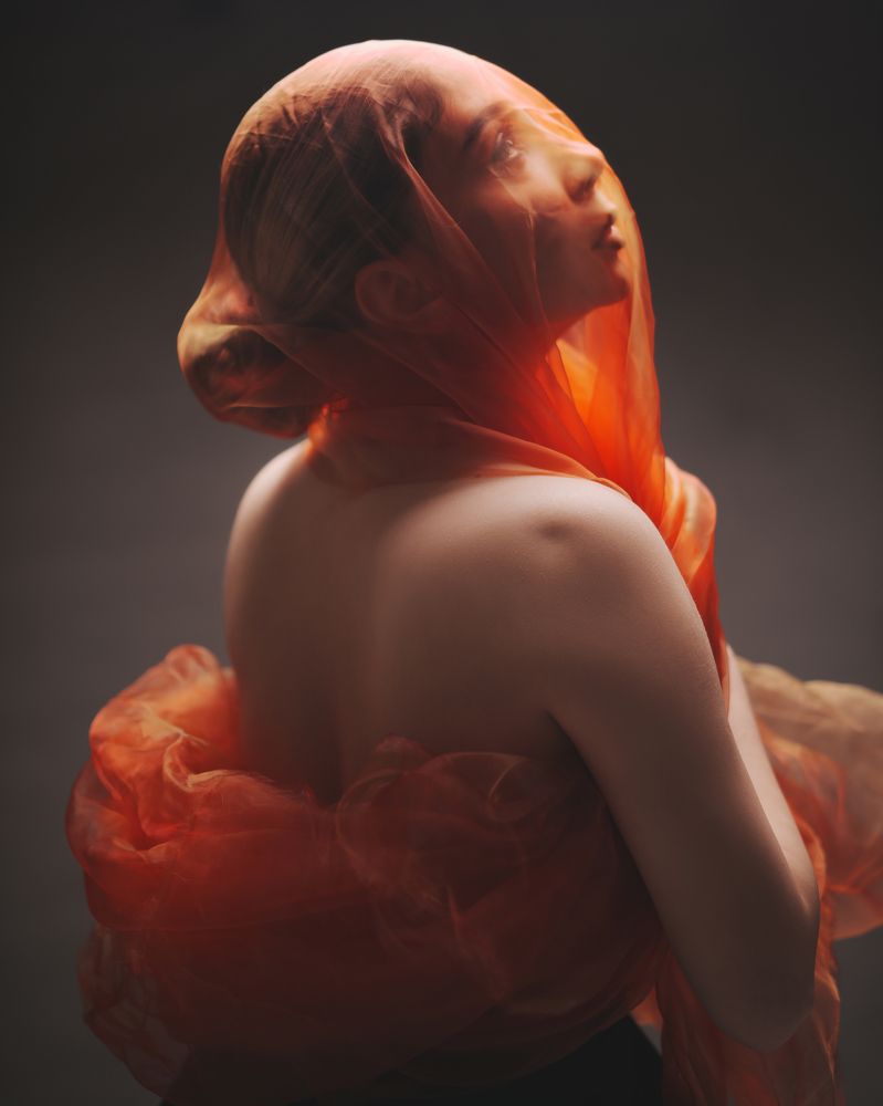 Photograph by shayan Moghadam