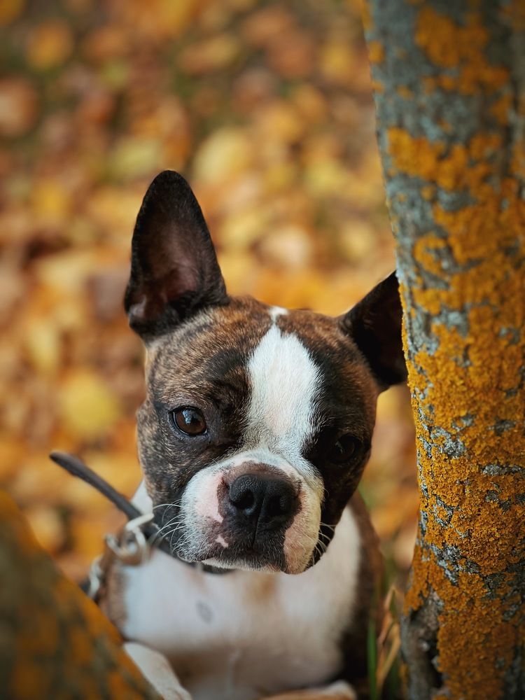 Photograph by Анжелика Александрова