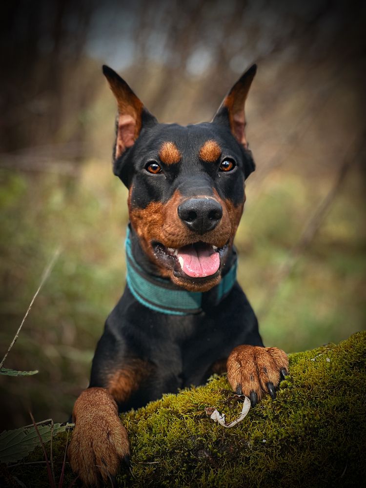 Photograph by Анжелика Александрова