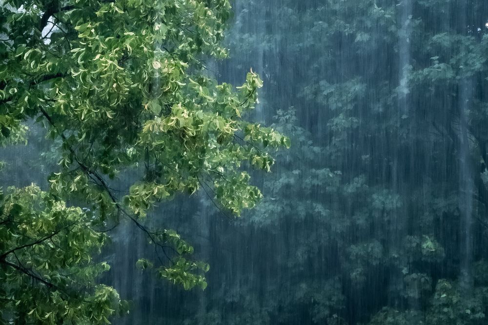 Photograph by Владимир Охрименко