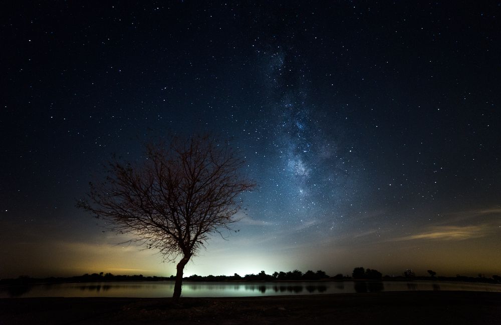 Photograph by Syeda Fahamida