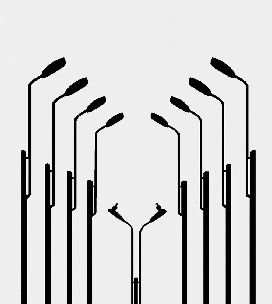 Photograph by Artin darvishi