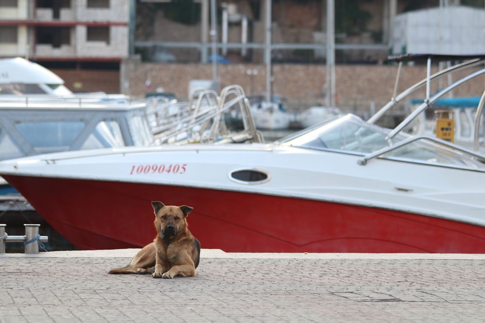 Photograph by Андрей Хитрун