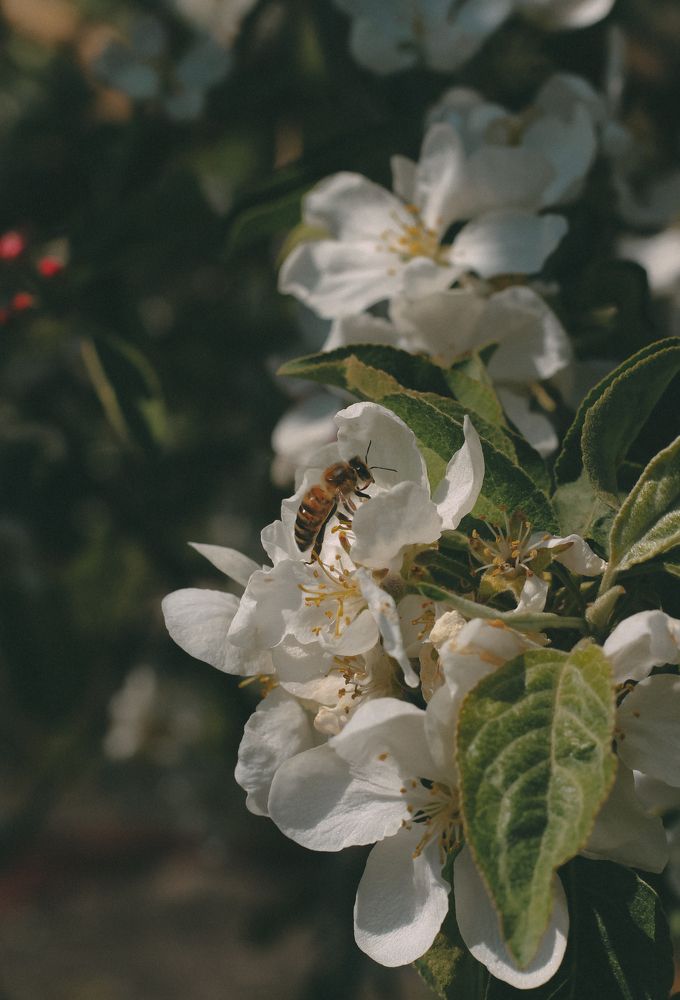 Photograph by Яна Нестерова