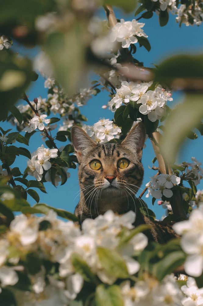 Photograph by Яна Нестерова