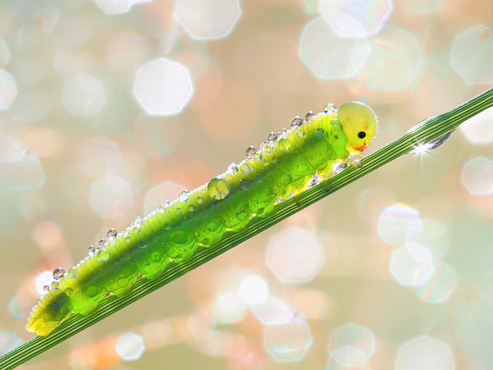 Photograph by Лукашук Евгений