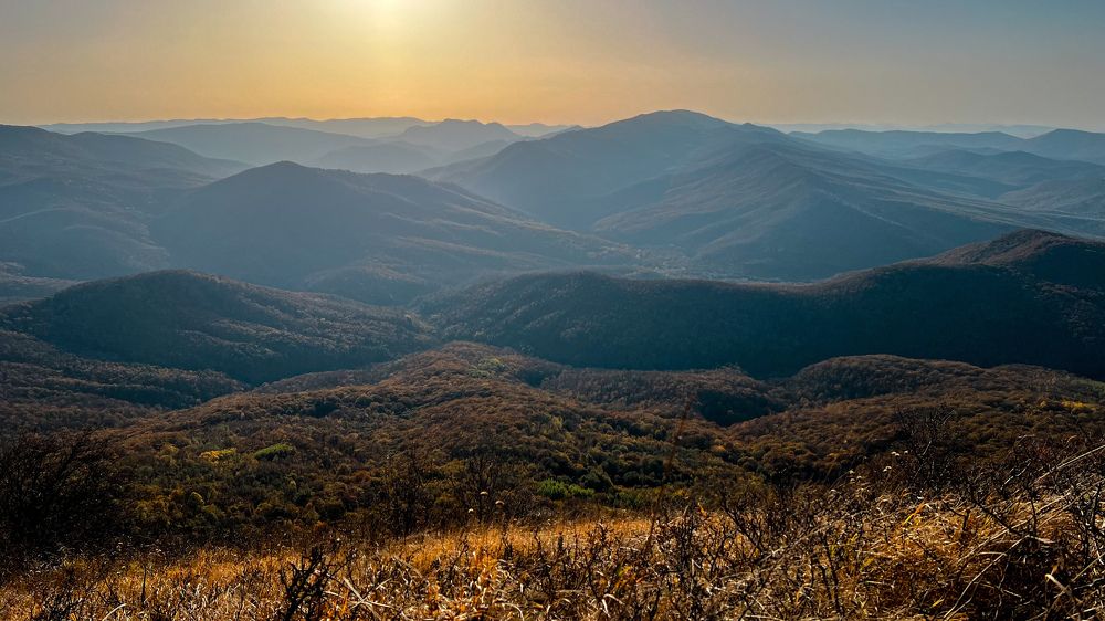 Фотография автора NINA