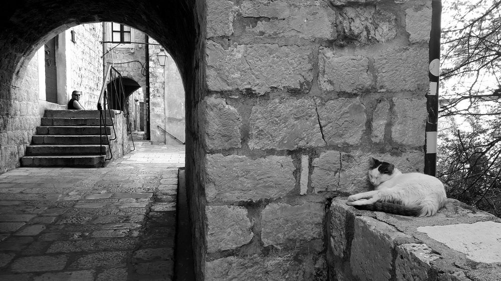 Photograph by Damir Gržin