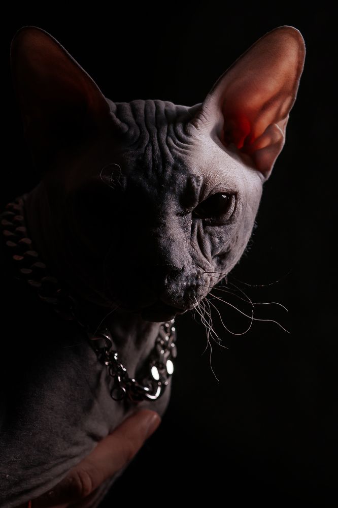 Photograph by Светлана Пудовкина