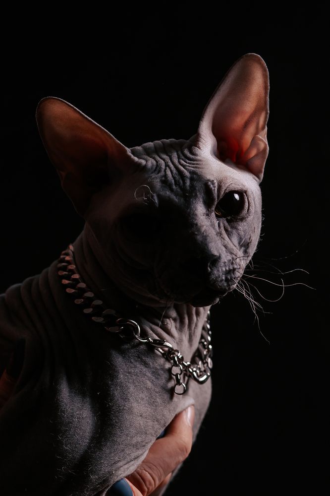 Photograph by Светлана Пудовкина